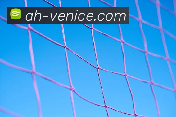 威尼斯人线上娱乐APP 体育赛事宣传图